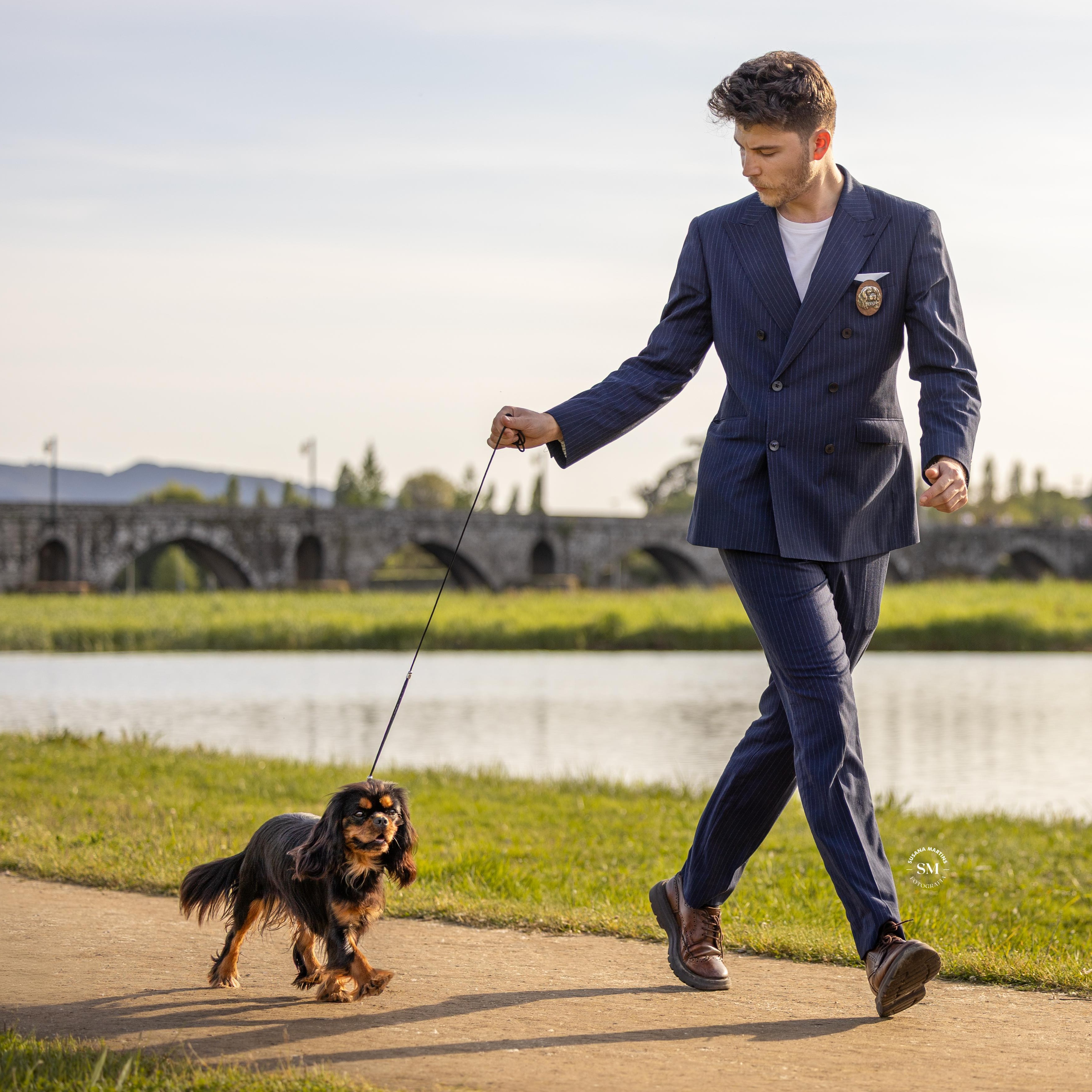 Cavalier King Charles Spaniel